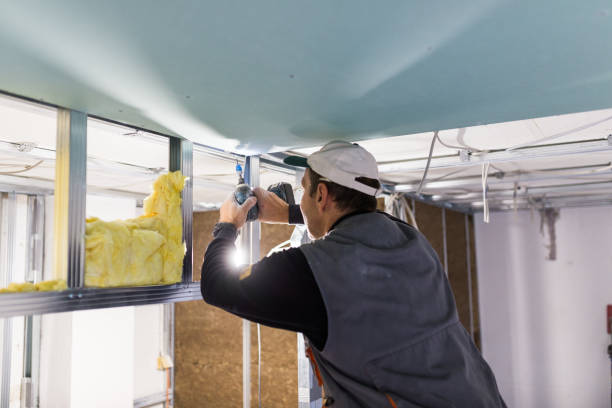 Best Cellulose Insulation  in St Clair, PA